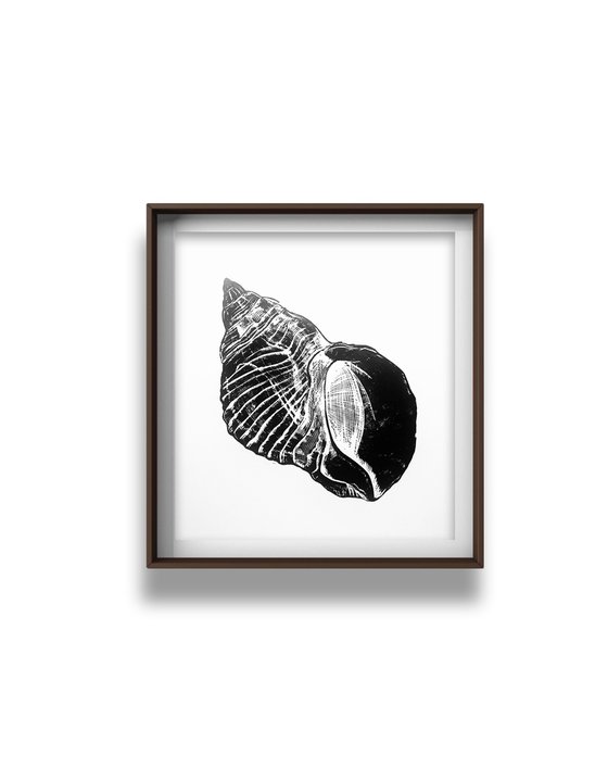 Sea life Triptych II