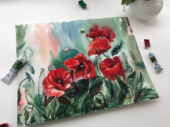 Growing Poppies