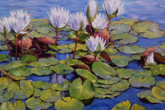 "Water lilies"