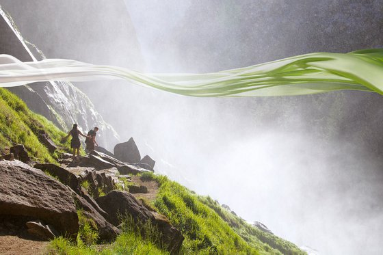 Wild Is the Wind