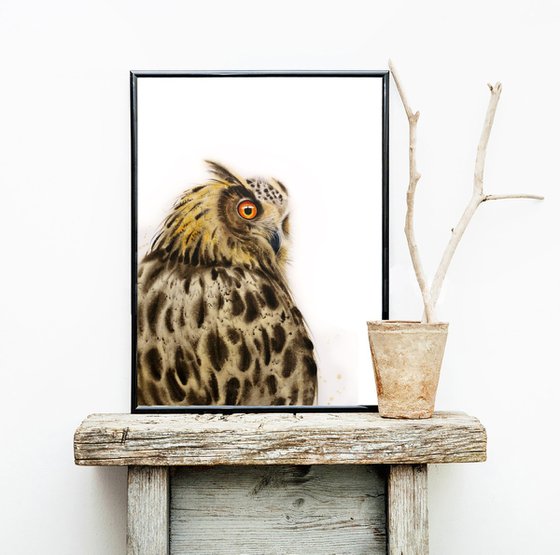 Owl portrait