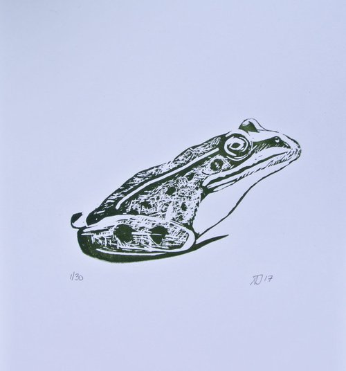 Frog Linoprint,  Print on Paper by Alex Jabore