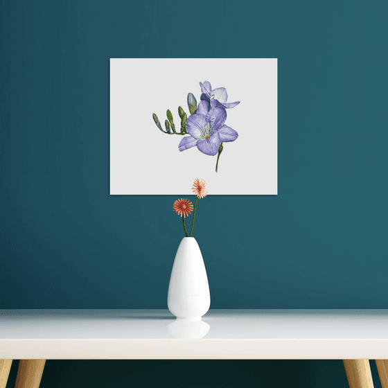 Purple freesia watercolor flowers