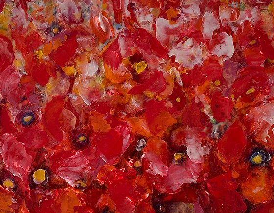 Poppy Field