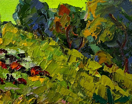 Walk through the meadows