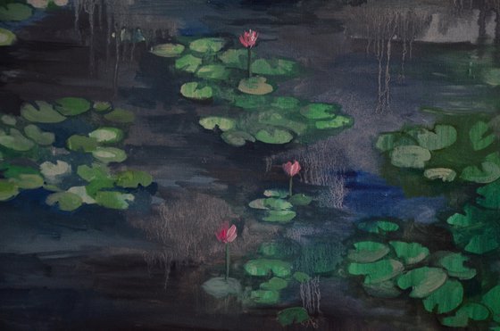 Lily pond. Petrichor