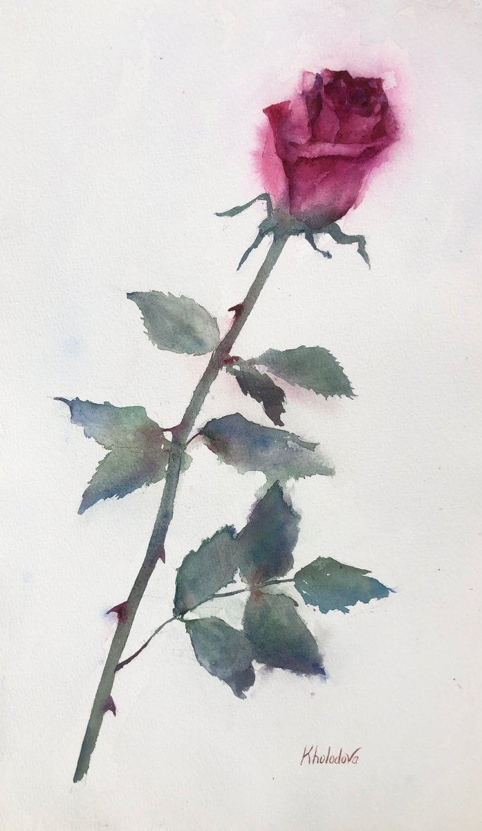 Rose by Olga Kholodova