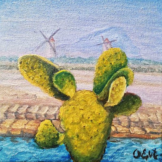 Cactus, salt and windmills. Marsala, Sicily. 20x20 cm. Cactus, sale e mulini a vento. Marsala, Sicilia.