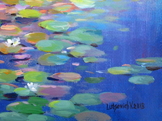 Water lilies in the pond.