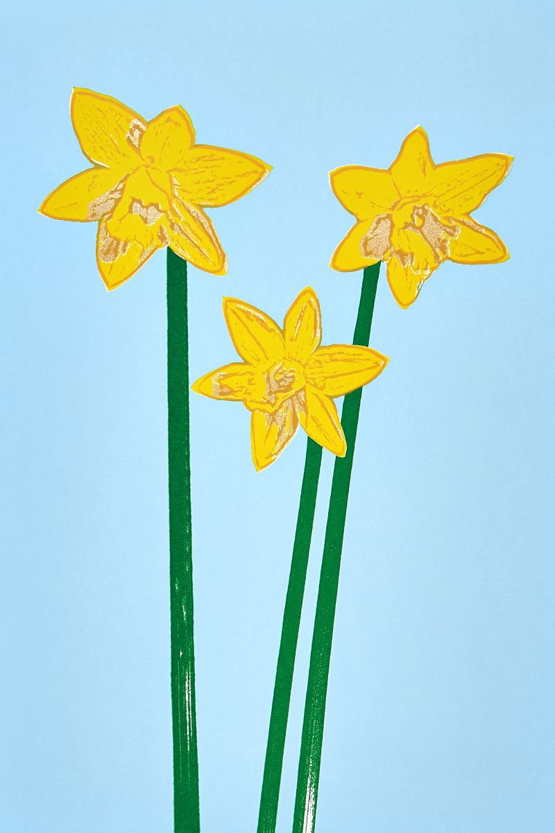 Daffodils by Ed Watts