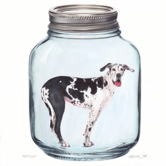 Great Dane in Jar III