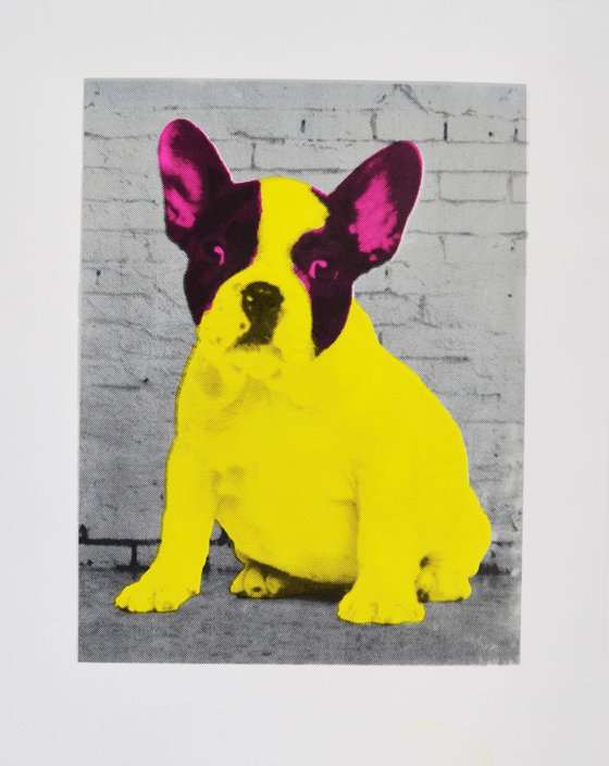 Pop Bulldog - Framed