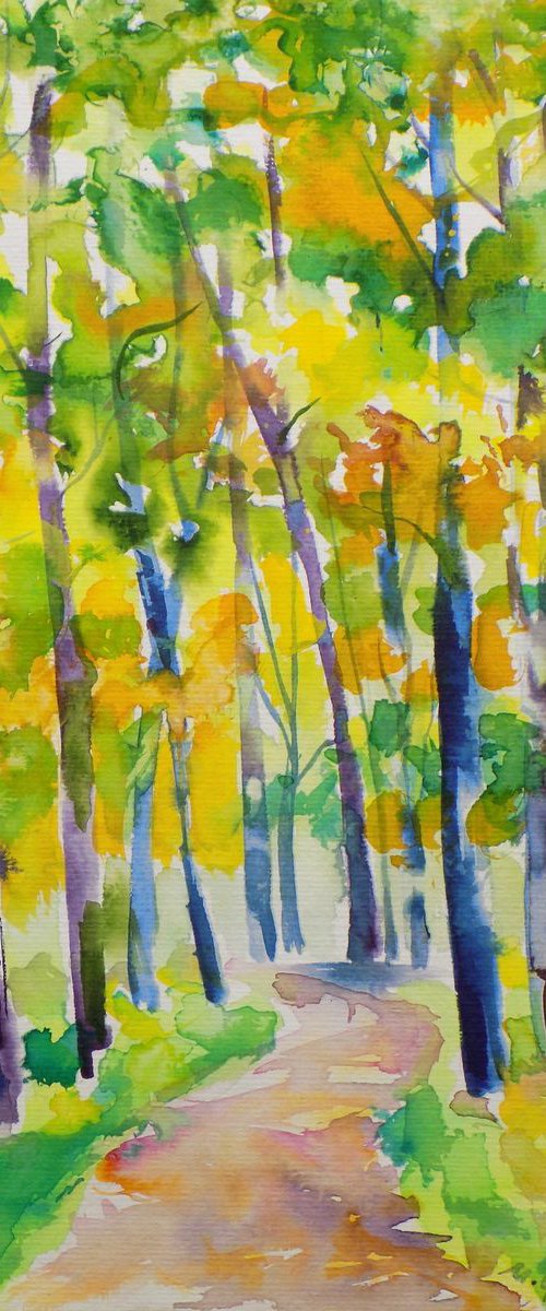 September forest by Maja Grecic