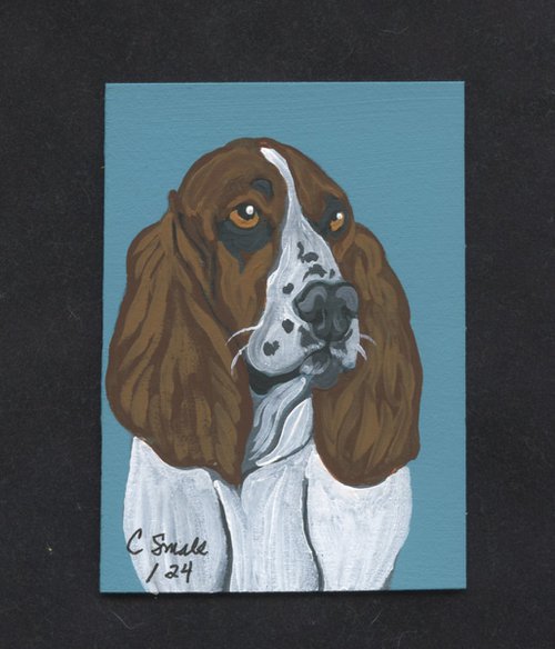 Basset Hound by Carla Smale
