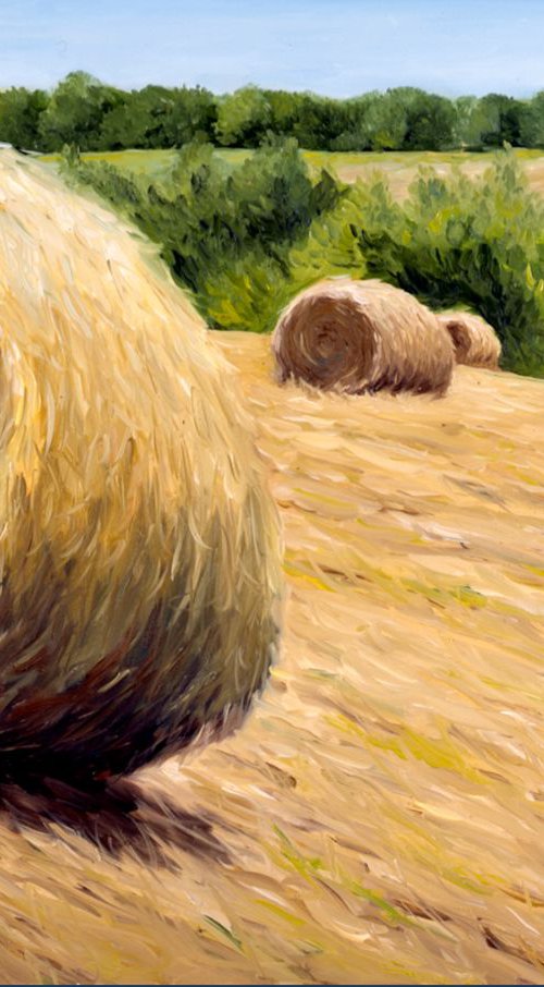 Mud Creek Bales by Bill Stone