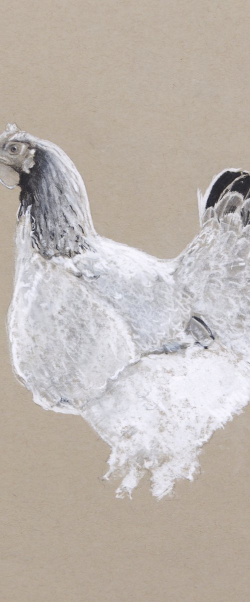 Gallina 3 (Framed) by Carlos Martín