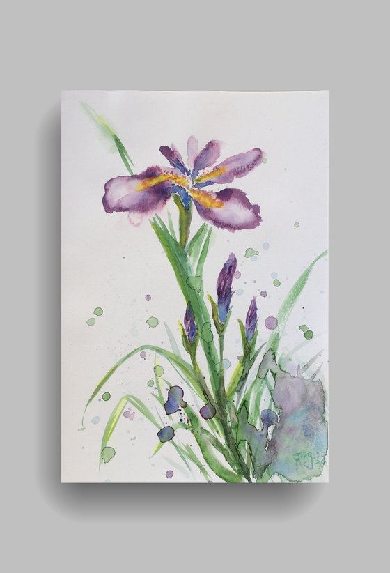 Purple Irises #2