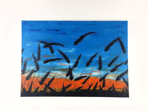 Sunset in the grass