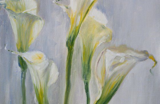 Gentle Calla Lilies