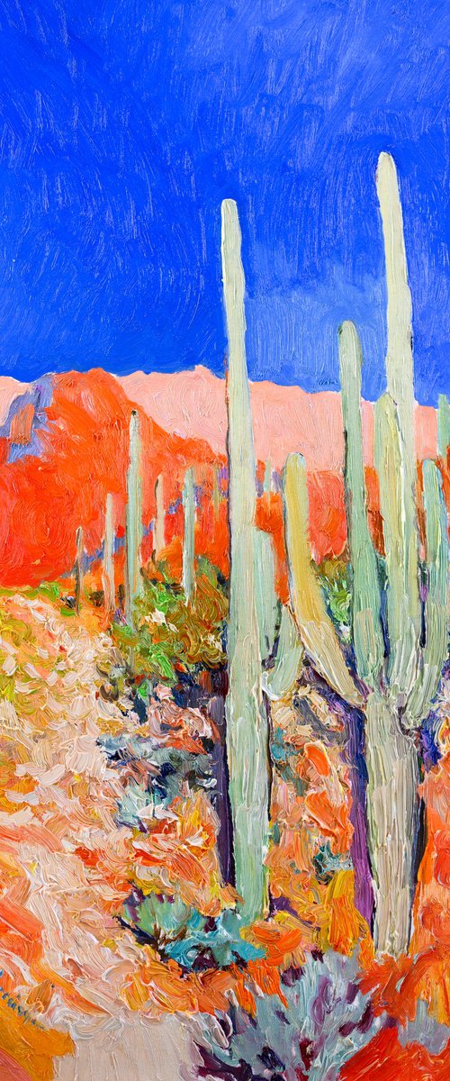 Saguaro Cactuses in the Desert by Suren Nersisyan