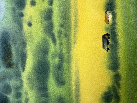 Ukrainian fields