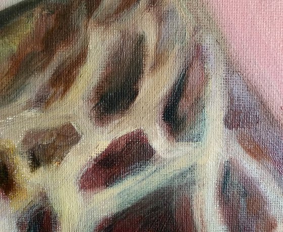 Funny Giraffe