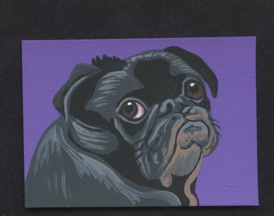 ACEO ATC Original Miniature Painting Black Pug Pet Dog Art-Carla Smale