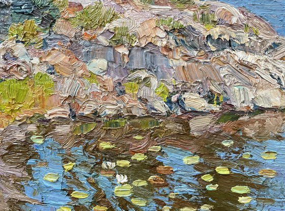 Forest lake