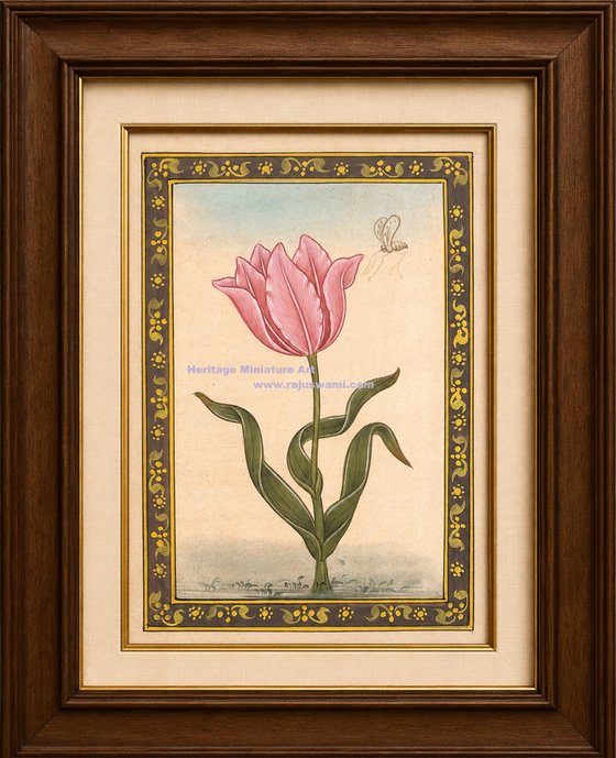 Pink Mughal Tulip | Miniature Painting