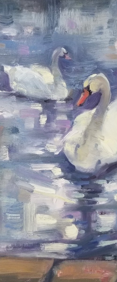 Swans of Hyde Park by Kristina Sellers