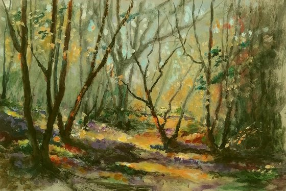 Bluebells woods