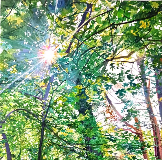Among the Trees 5