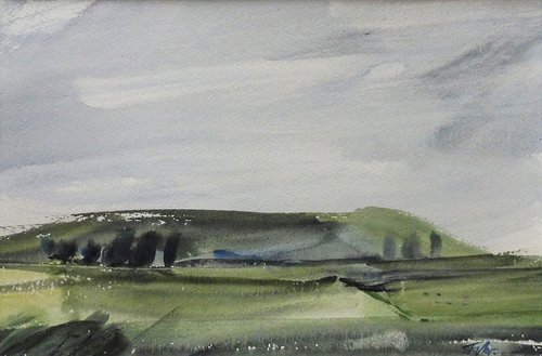 SUMMER 2022, WATERCOLOUR SKETCH / STUDY, ANGLESEY, near Cemlyn Bay. by Tim Taylor