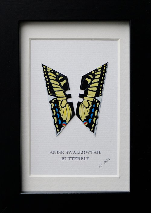 Anise Swallowtail butterfly by Lene Bladbjerg