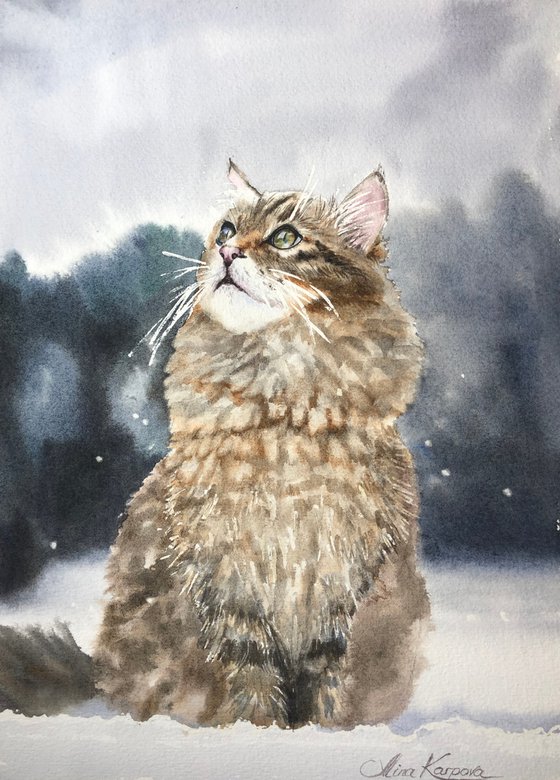 Winter cat