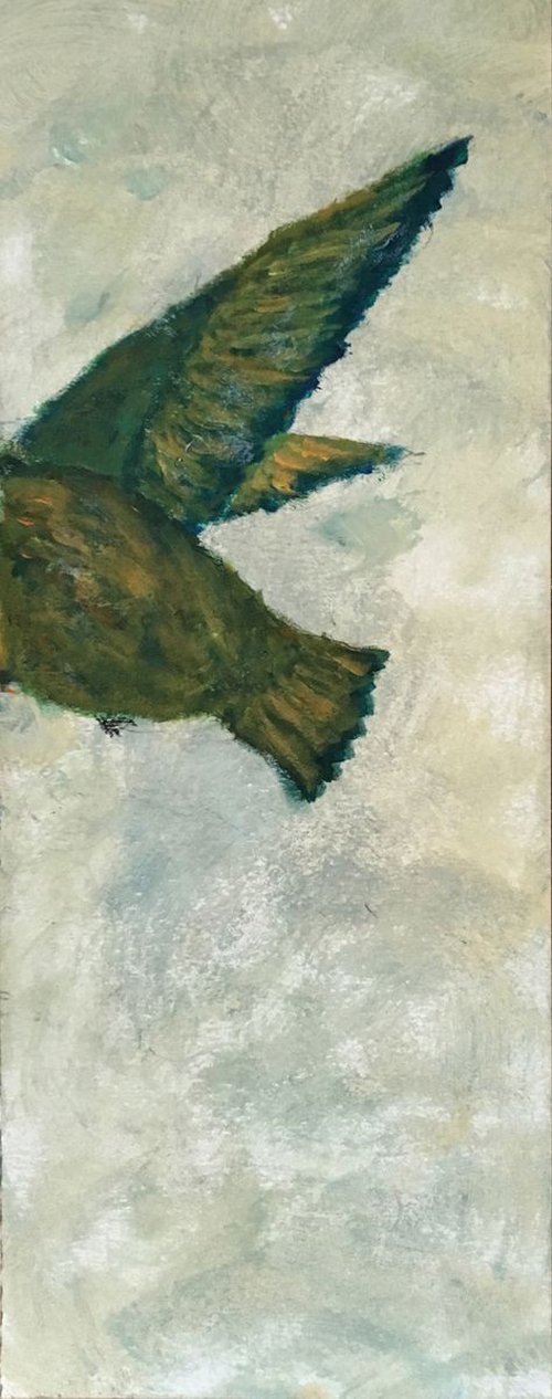 Study of hummingbird V c by Paola Consonni