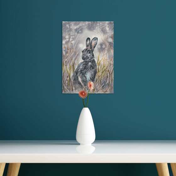 Grey Rabbit