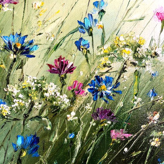 MOTLEY GRASS - Summer. Blooming meadow. Wildflowers. Landscape. Clouds. Wind. Sky. Daisies. Cornflowers.