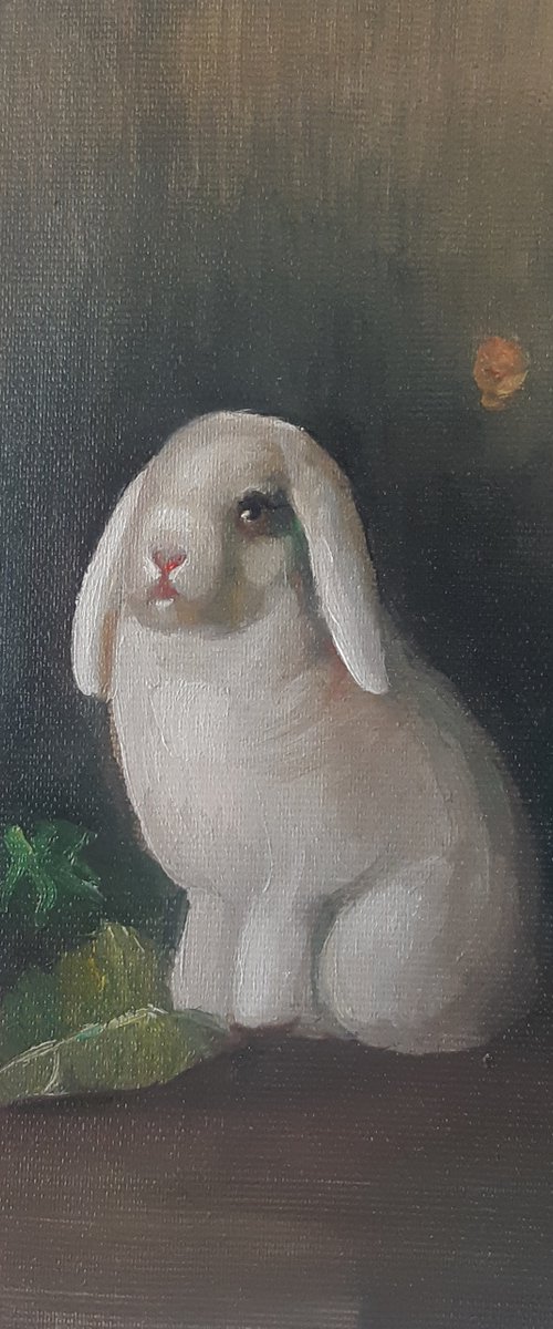 Rabbit by Viktória Déri