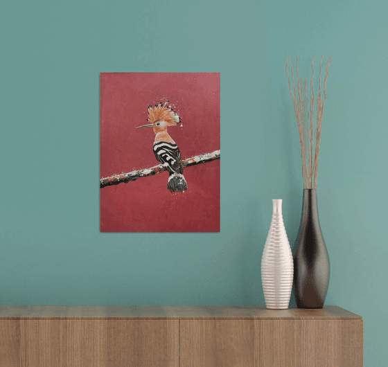 Hoopoe