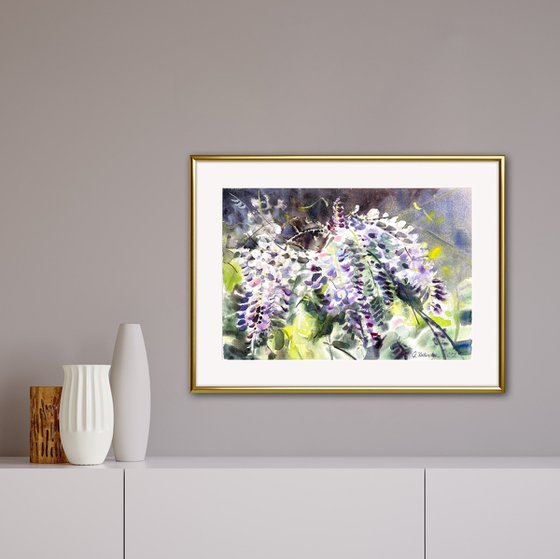 waterfall of wisteria inflorescences