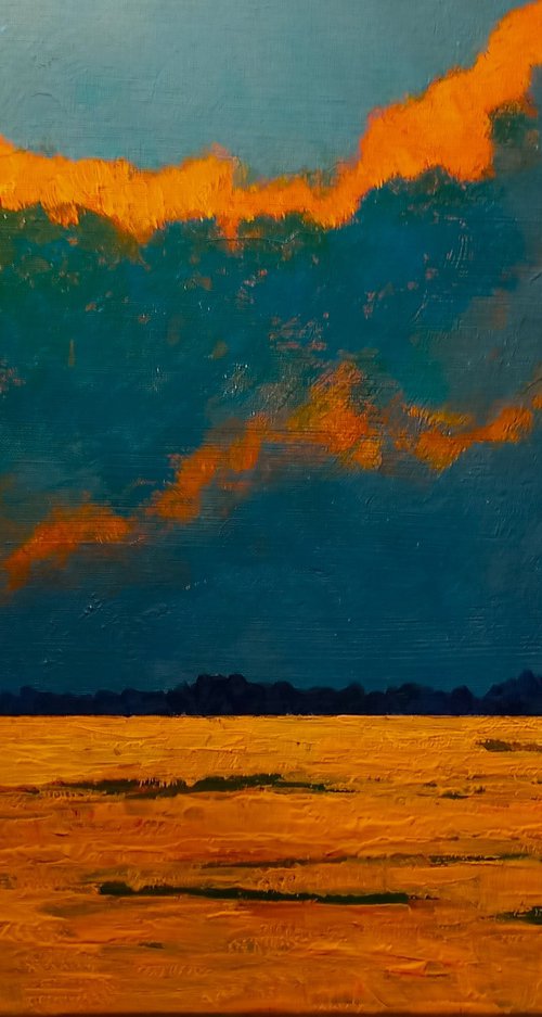 Fire in the Sky by David J Edwards