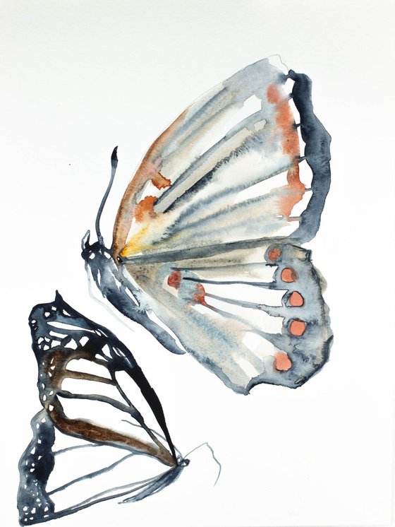 Butterfly Study