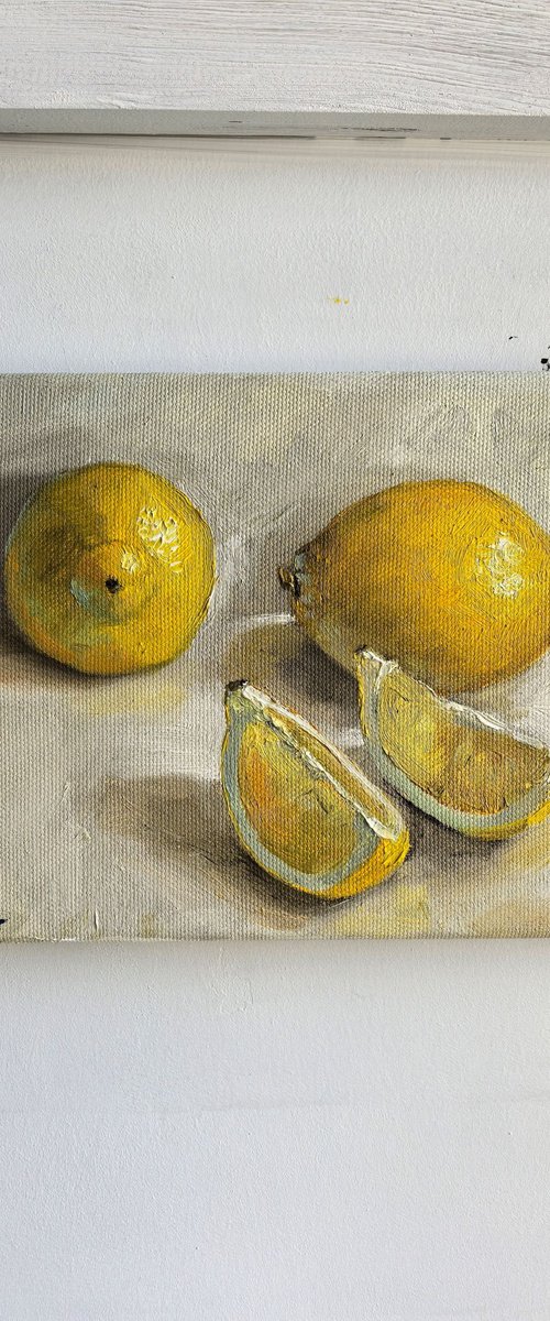 Lemon slices by Leyla Demir