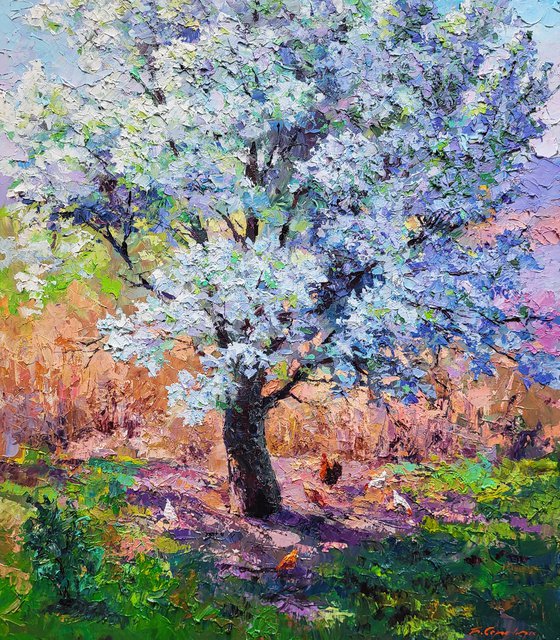 Pear blossoms