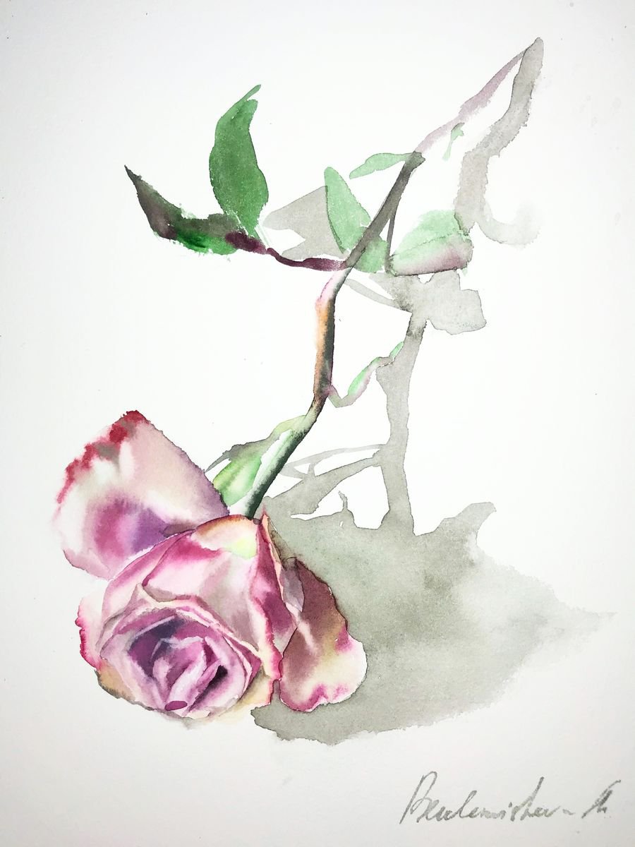 Rose and the shadow by Maria Beklemisheva