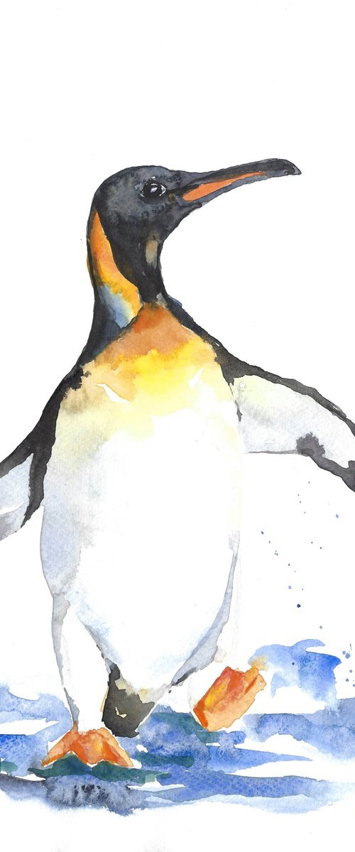 Penguin watercolor by Tanya Amos