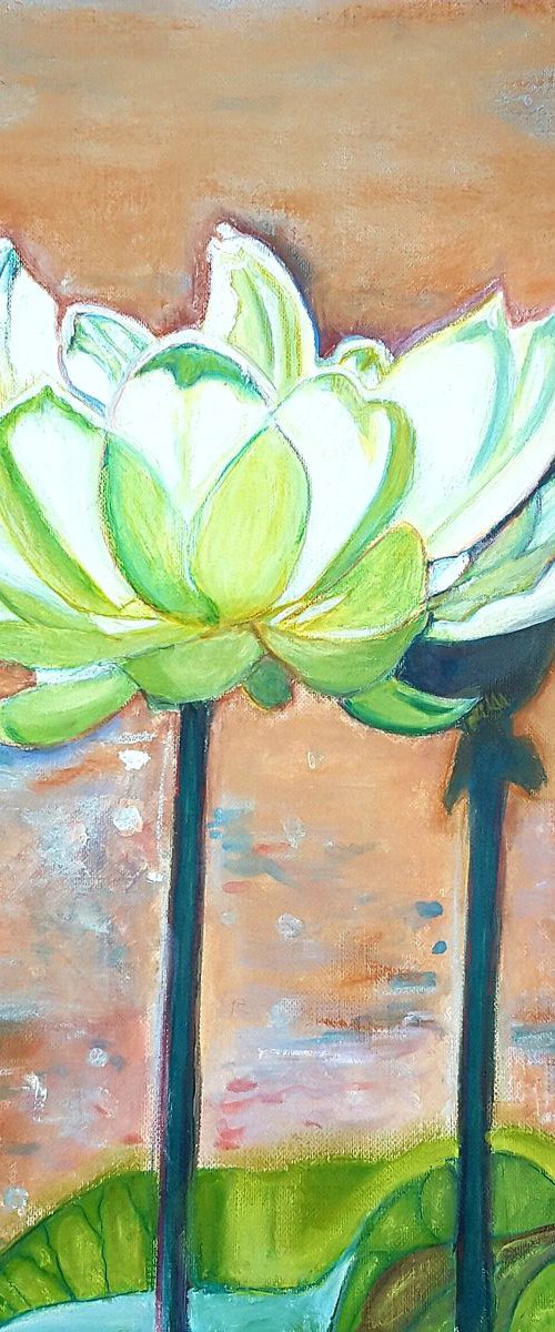 White lotus by Francesca Licchelli
