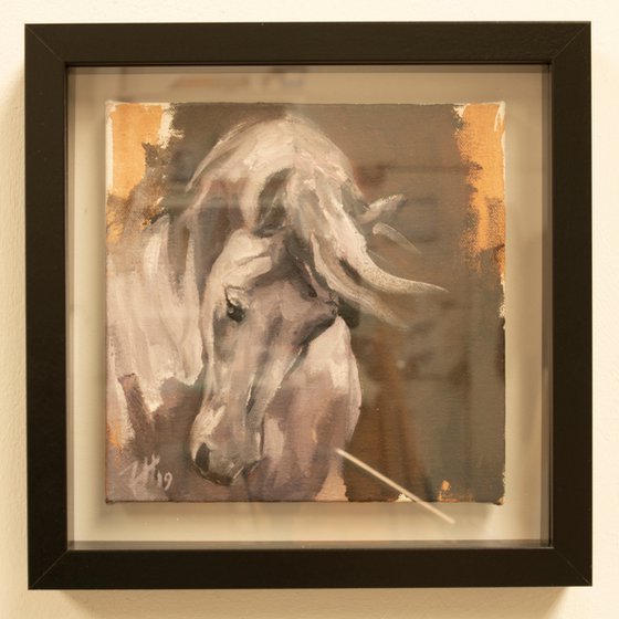 Equine Head Arab White (study 44)