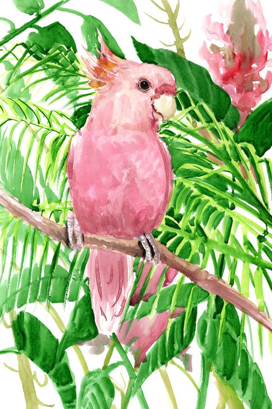 Pink Cockatoo